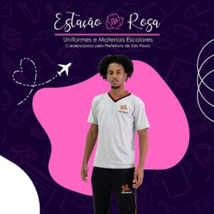 Camiseta Tradicional Cinza Escolar Stefan Zweig